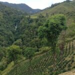 PSA CHAPARRAL 2 1080x675 1