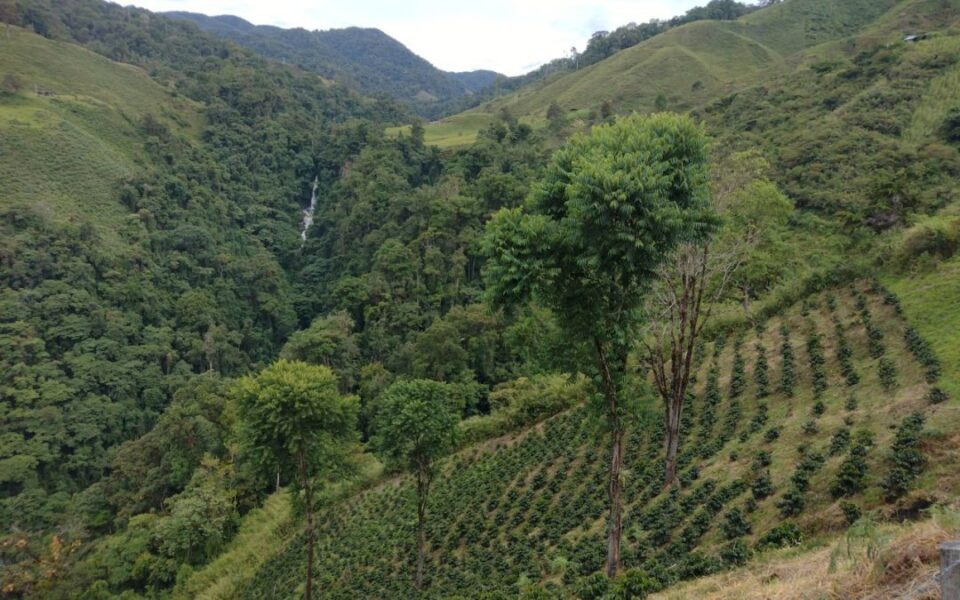 PSA CHAPARRAL 2 1080x675 1