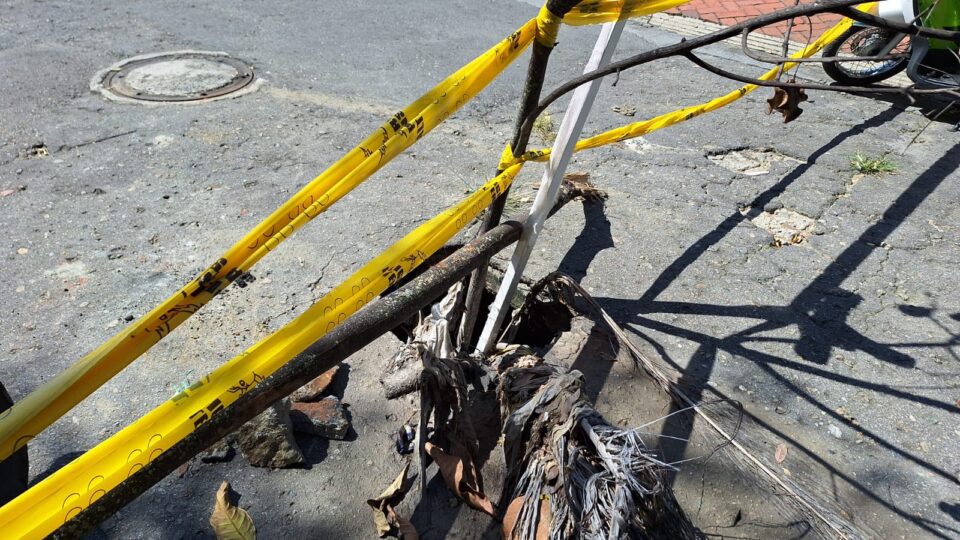 WhatsApp Image 2024 01 25 at 3.51.44 PM