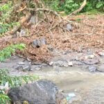 Screenshot 20240204 082639 Telegram