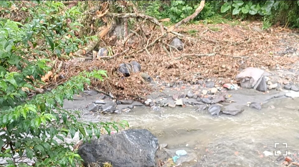 Screenshot 20240204 082639 Telegram