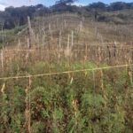 WhatsApp Image 2024 03 07 at 6.44.06 AM