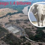 WhatsApp Image 2024 05 07 at 11.38.11 AM