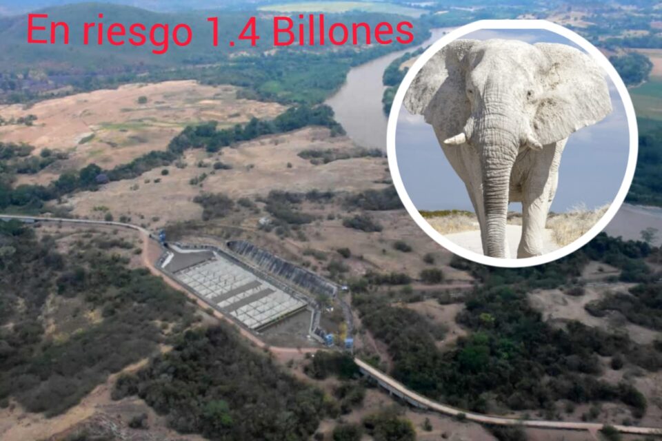 WhatsApp Image 2024 05 07 at 11.38.11 AM