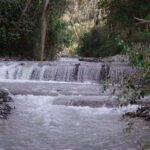 WhatsApp Image 2024 05 08 at 6.40.49 AM