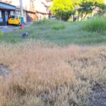 WhatsApp Image 2024 05 24 at 7.07.07 AM