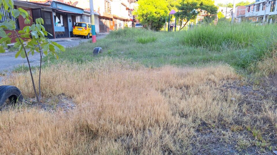 WhatsApp Image 2024 05 24 at 7.07.07 AM