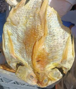 9709c5c3 d0af 48ff a480 75dd7de21bef