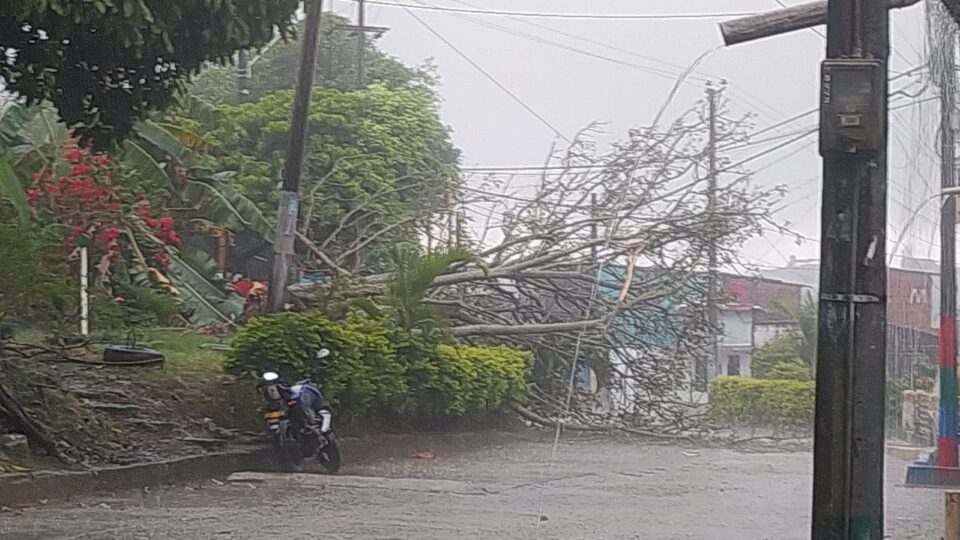 WhatsApp Image 2024 08 25 at 7.36.34 PM