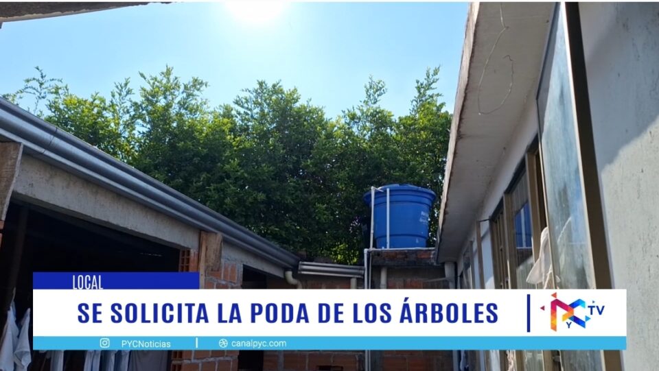 Screenshot 20240920 092638 Gallery