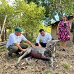 WhatsApp Image 2024 10 01 at 1.13.34 PM