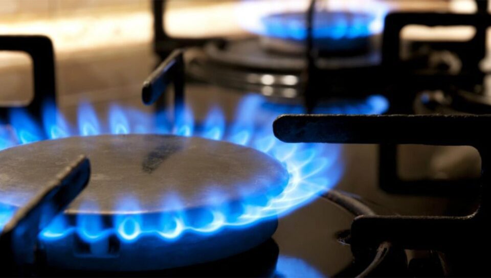 WhatsApp Image 2024 10 02 at 12.41.34 PM