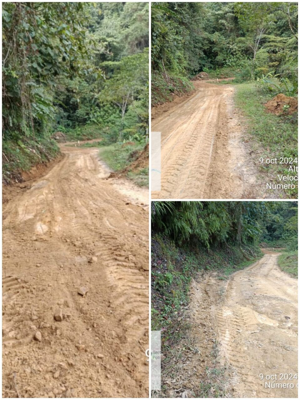 WhatsApp Image 2024 10 10 at 12.09.37 PM