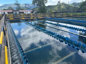 WhatsApp Image 2024 10 28 at 7.25.21 AM 1