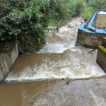 WhatsApp Image 2024 10 28 at 7.25.21 AM