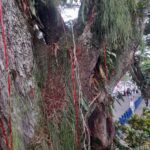 WhatsApp Image 2024 10 29 at 6.50.52 AM