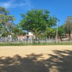 WhatsApp Image 2024 10 31 at 11.22.36 AM