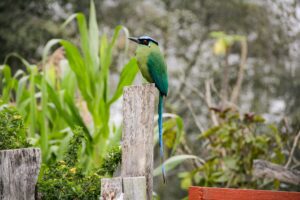 WhatsApp Image 2024 11 12 at 7.03.14 AM