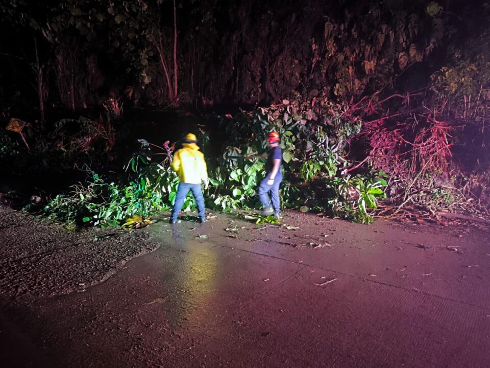 WhatsApp Image 2024 12 27 at 5.15.20 AM