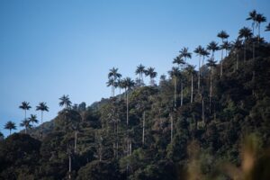 IMG 20250112 WA0016 1