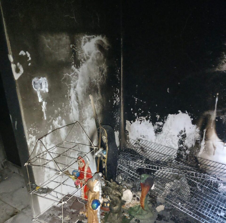 WhatsApp Image 2025 01 30 at 6.29.59 PM