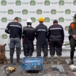 WhatsApp Image 2025 02 25 at 7.53.59 AM