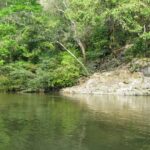 Rio Opia Piedras Tolima