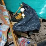 WhatsApp Image 2025 03 19 at 11.46.29 AM