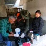 WhatsApp Image 2025 03 27 at 4.17.34 PM