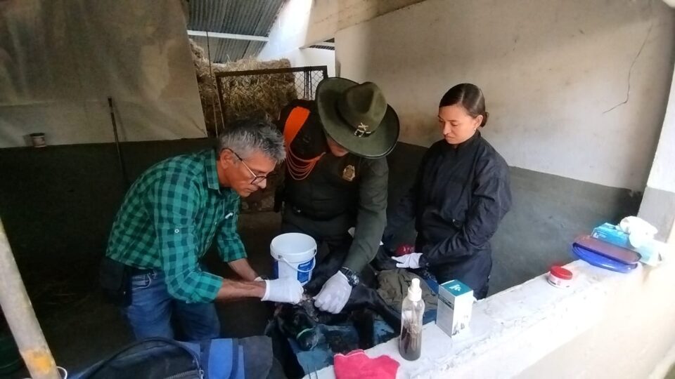 WhatsApp Image 2025 03 27 at 4.17.34 PM