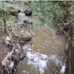 Screenshot 20250418 095011 Gallery