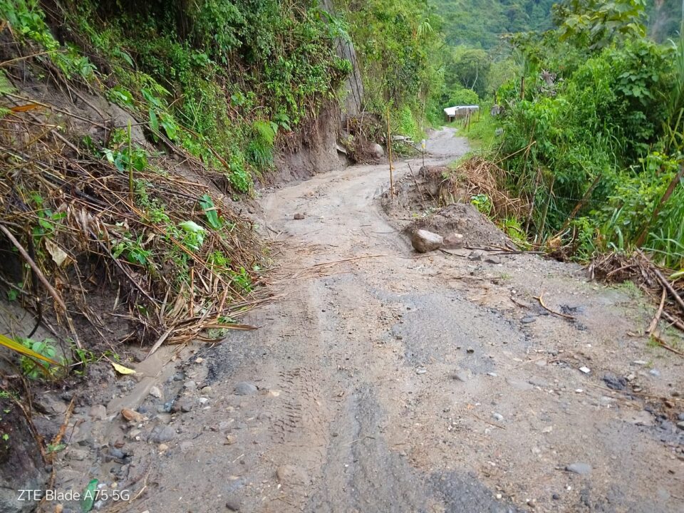 WhatsApp Image 2025 04 07 at 8.38.29 AM