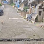 WhatsApp Image 2025 04 22 at 7.30.41 AM