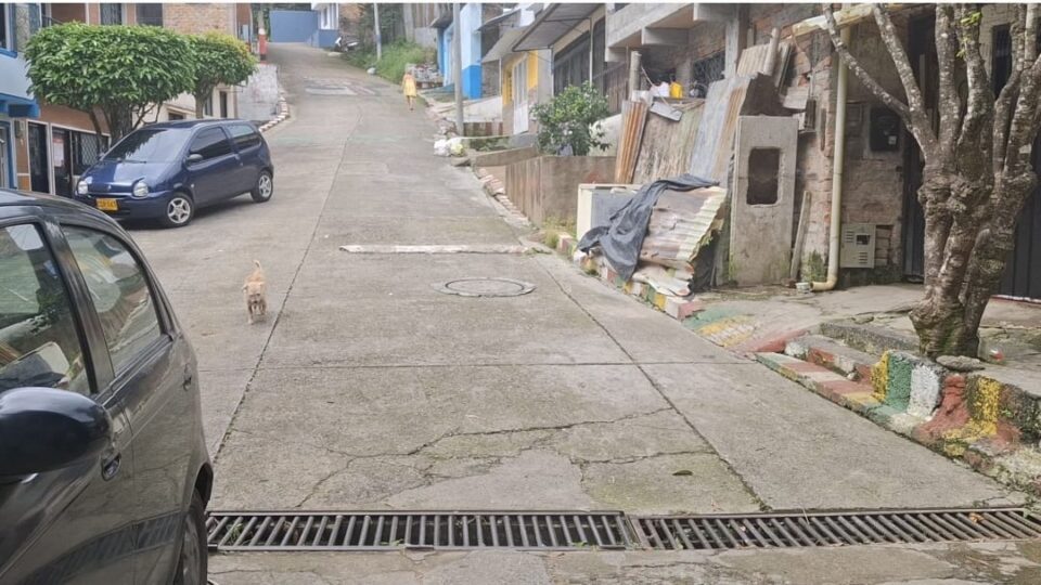 WhatsApp Image 2025 04 22 at 7.30.41 AM