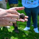 500810445 1123809436457366 532322350020270544 n