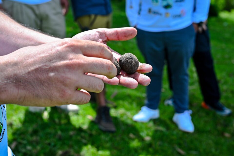 500810445 1123809436457366 532322350020270544 n