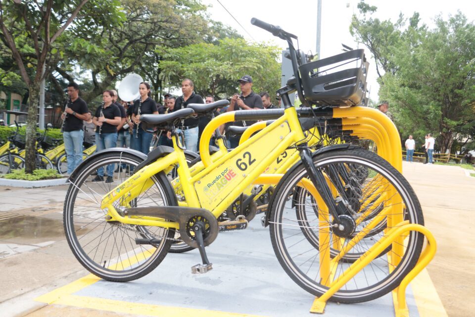 WhatsApp Image 2025 05 20 at 12.12.34 PM