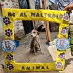 photo 5023905611175276912 y