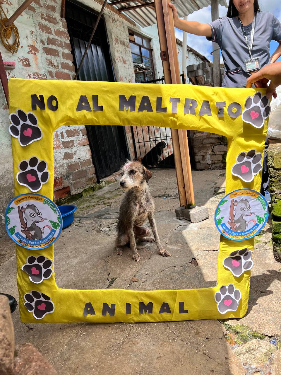 photo 5023905611175276912 y