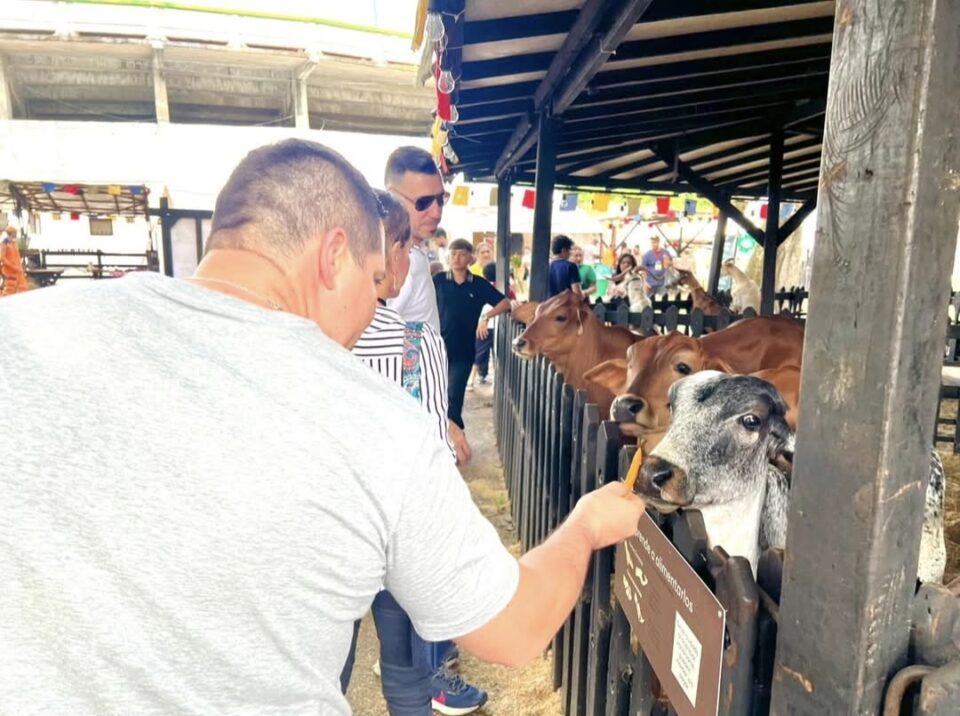 Screenshot 20250614 064319 Facebook