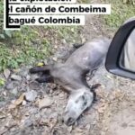 Screenshot 20250728 120231 Gallery