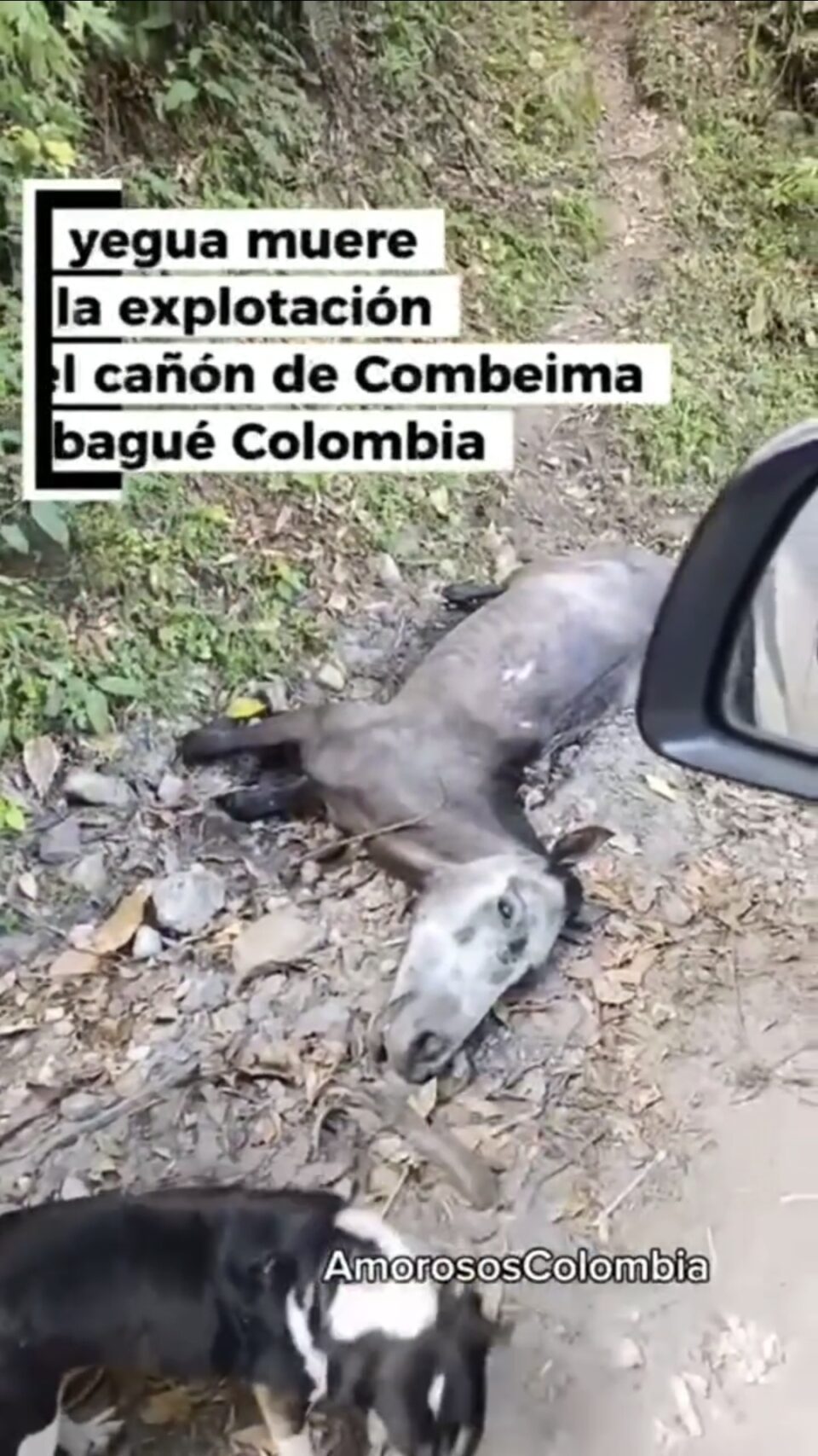 Screenshot 20250728 120231 Gallery