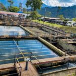 WhatsApp Image 2023 04 03 at 4.08.48 PM