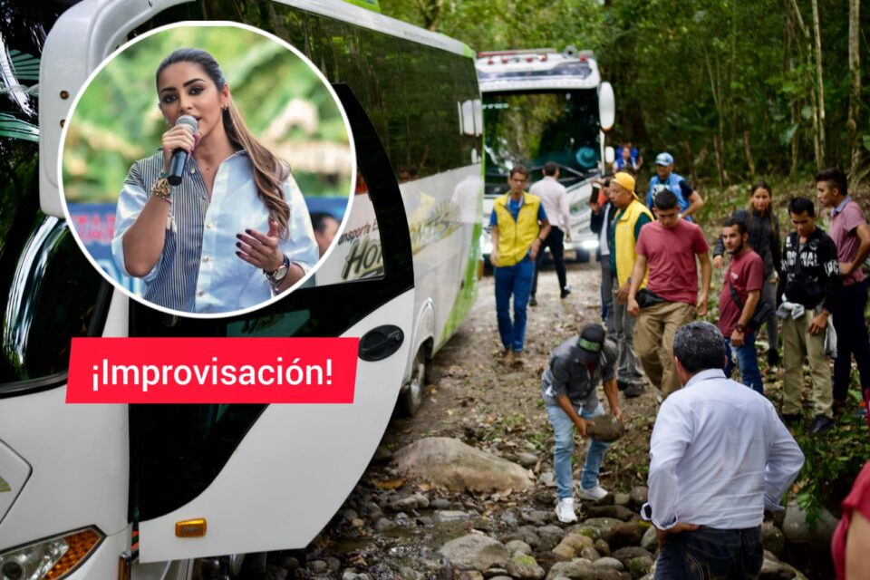 WhatsApp Image 2025 07 03 at 12.47.06 PM