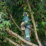 WhatsApp Image 2025 07 15 at 10.55.33 AM 1