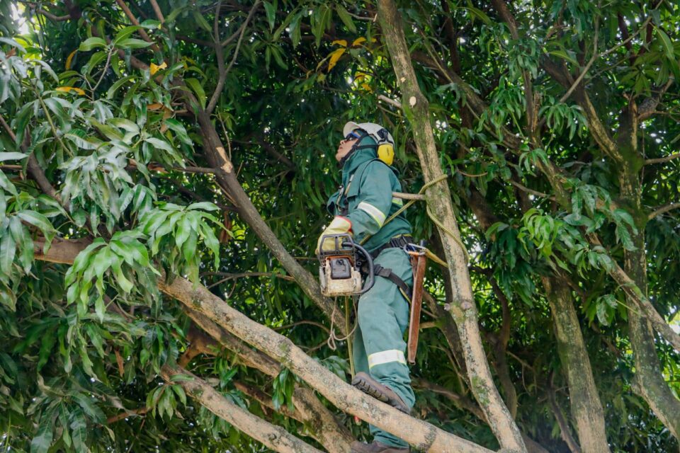 WhatsApp Image 2025 07 15 at 10.55.33 AM 1