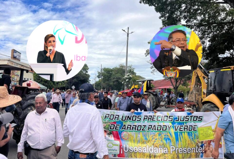 WhatsApp Image 2025 07 28 at 11.28.49 AM