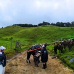 WhatsApp Image 2025 07 28 at 8.58.28 AM