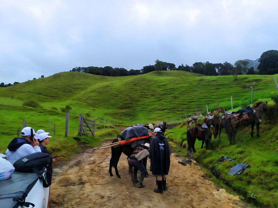 WhatsApp Image 2025 07 28 at 8.58.28 AM