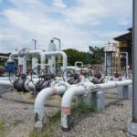 Foto Planta Mariquita 1 1